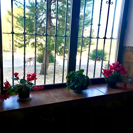 La Almedina Casa Bellavista